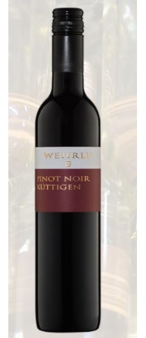 Pinot Noir AOC Küttigen - EINWEGFLASCHE