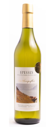 EN CHAMPAFLON Epesses AOC Lavaux