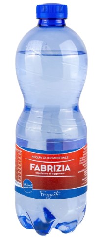Fabrizia Acqua Frizzante mit CO2 PET 